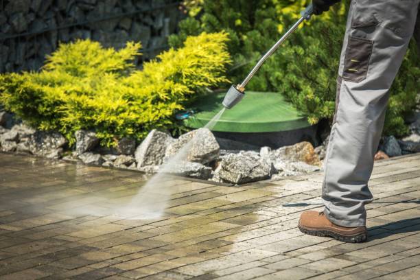 Animal Enclosure Cleaning in Ormond Beach, FL