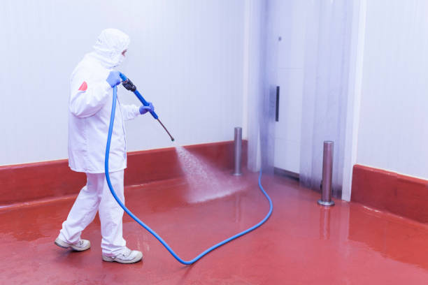 Best Pre-Holiday Cleaning  in Ormond Beach, FL
